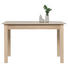ESSTISCH Eichefarben - Eichefarben, Design (120/160/70/76,5cm) - Carryhome