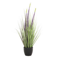 TRAVA DEKORATIVNA  - svijetlo zelena/ljubičasta, Basics, metal/plastika (80cm) - Ambia Home