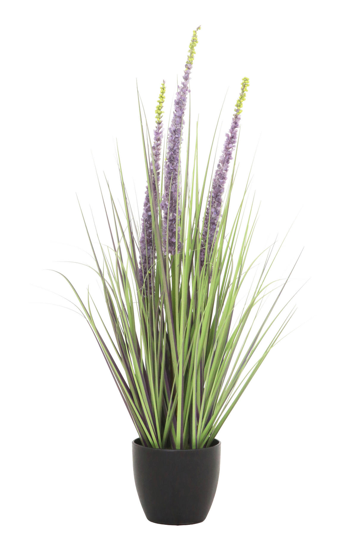 TRAVA DEKORATIVNA  - svijetlo zelena/ljubičasta, Basics, metal/plastika (80cm) - Ambia Home