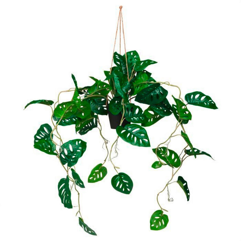 MID.YOU UMĚLÁ ROSTLINA monstera
