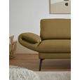 ECKSOFA  in Flachgewebe Schilfgrün  255-365/175-224 cm  - Schilfgrün/Schwarz, Design, Textil/Metall (255-365/175-224cm) - Dieter Knoll