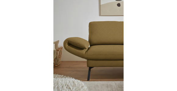 ECKSOFA  in Flachgewebe Schilfgrün  255-365/175-224 cm  - Schilfgrün/Schwarz, Design, Textil/Metall (255-365/175-224cm) - Dieter Knoll