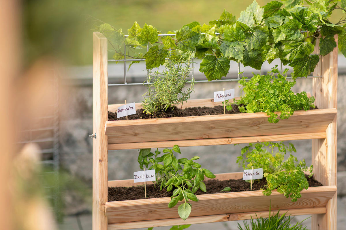 GARTENREGAL Holz  - Lärchefarben, Basics, Holz (80/95/50cm) - Ambia Garden