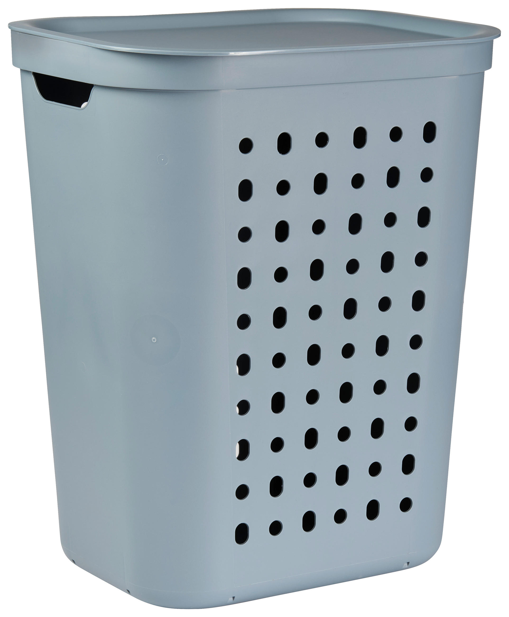 WÄSCHESAMMLER - Pastellblau, KONVENTIONELL, Kunststoff (35,5/53,3/43,2cm) - Rotho