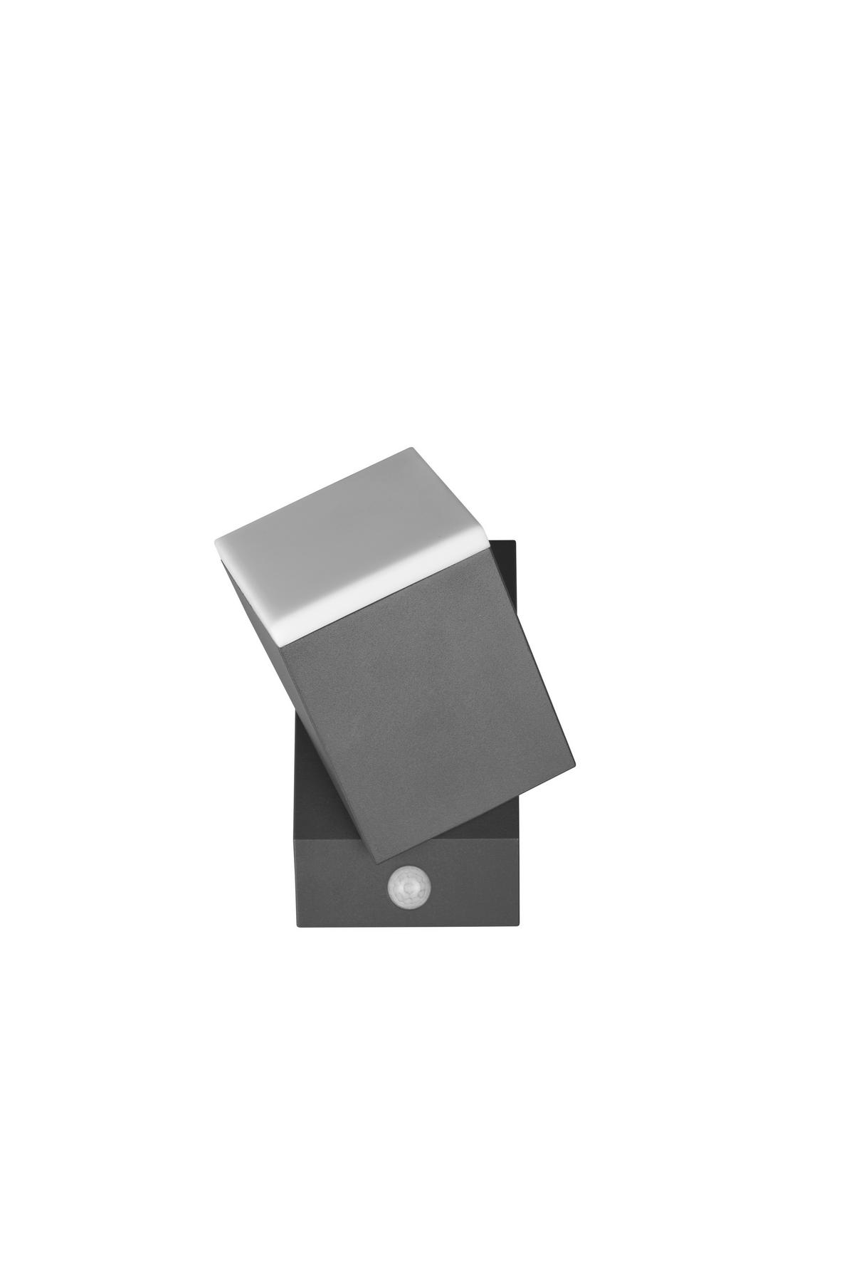 VÄGGLAMPA FÖR UTOMHUS - antracit, Basics, metall/plast (11/9/16cm) - Trio Leuchten