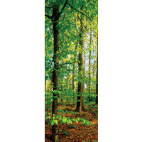 LEINWANDBILD Bäume  - Multicolor, KONVENTIONELL, Holz/Papier (30/80/3cm) - Euroart