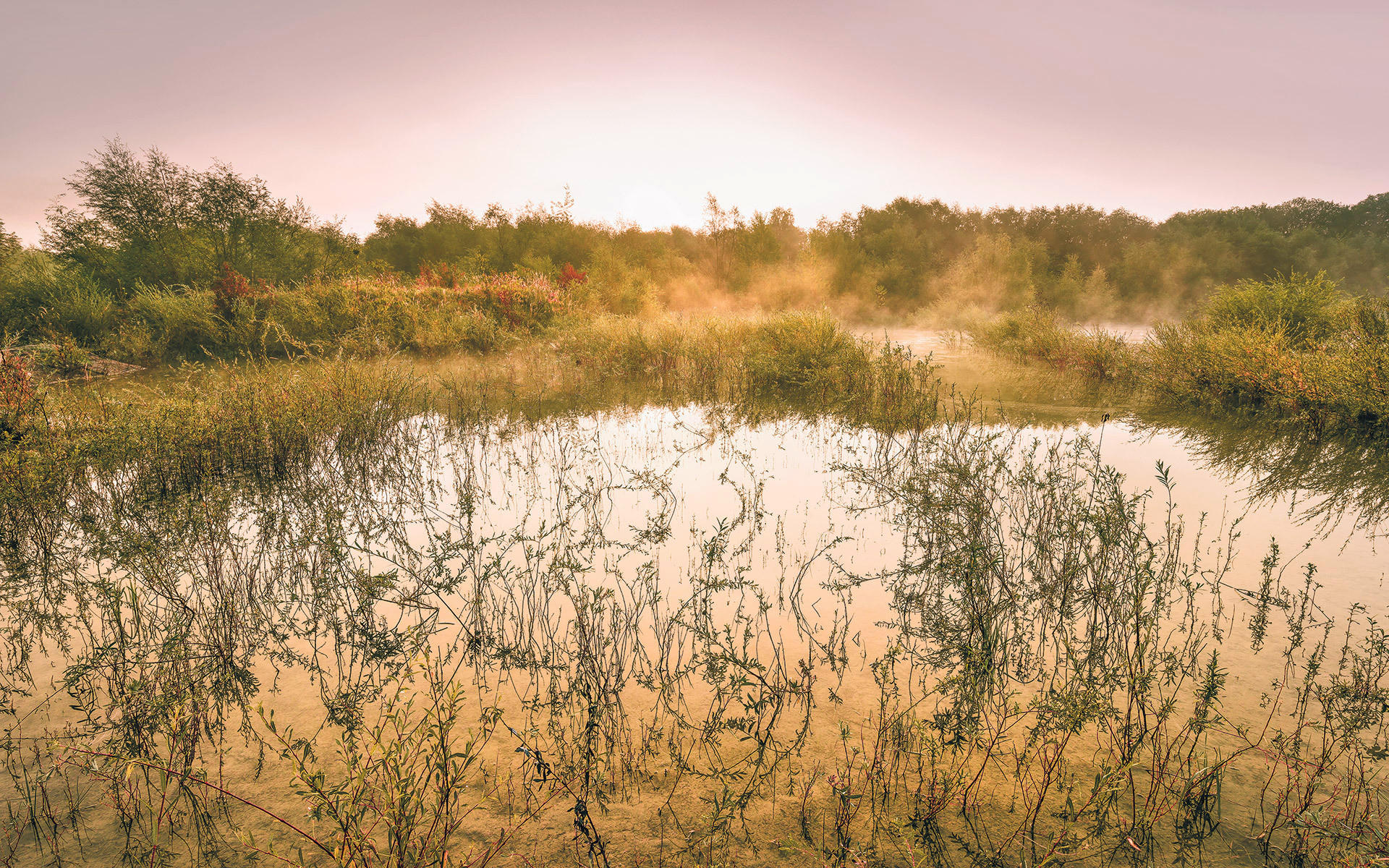 VLIESTAPETE - Natur (400/250cm)