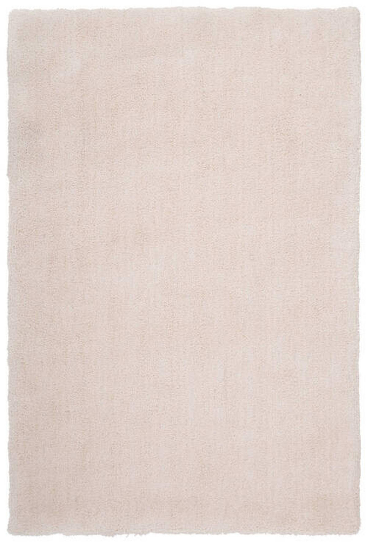 HOCHFLORTEPPICH 120/170 cm My Paradise  - Creme, Design, Textil (120/170cm)