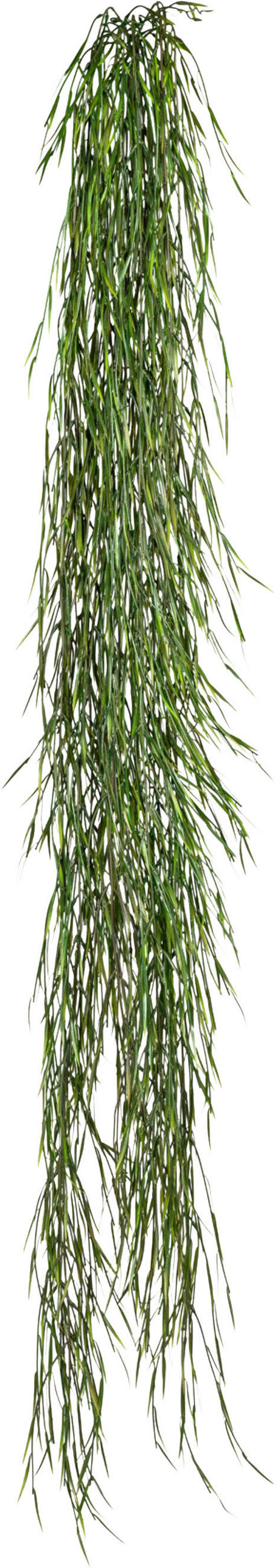 KUNSTPFLANZE Weide 160 cm  - Grün, Design, Kunststoff (160cm) - P & B