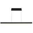 LED-HÄNGELEUCHTE Kent 118/10/170 cm   - Schwarz, Design, Kunststoff/Metall (118/10/170cm) - Dieter Knoll