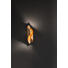 LED-WANDLEUCHTE - Goldfarben, Design, Metall (31/10/10cm)
