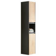 HOCHSCHRANK 30/160/30 cm  - Dunkelgrau/Eichefarben, MODERN, Glas/Holzwerkstoff (30/160/30cm) - Novel
