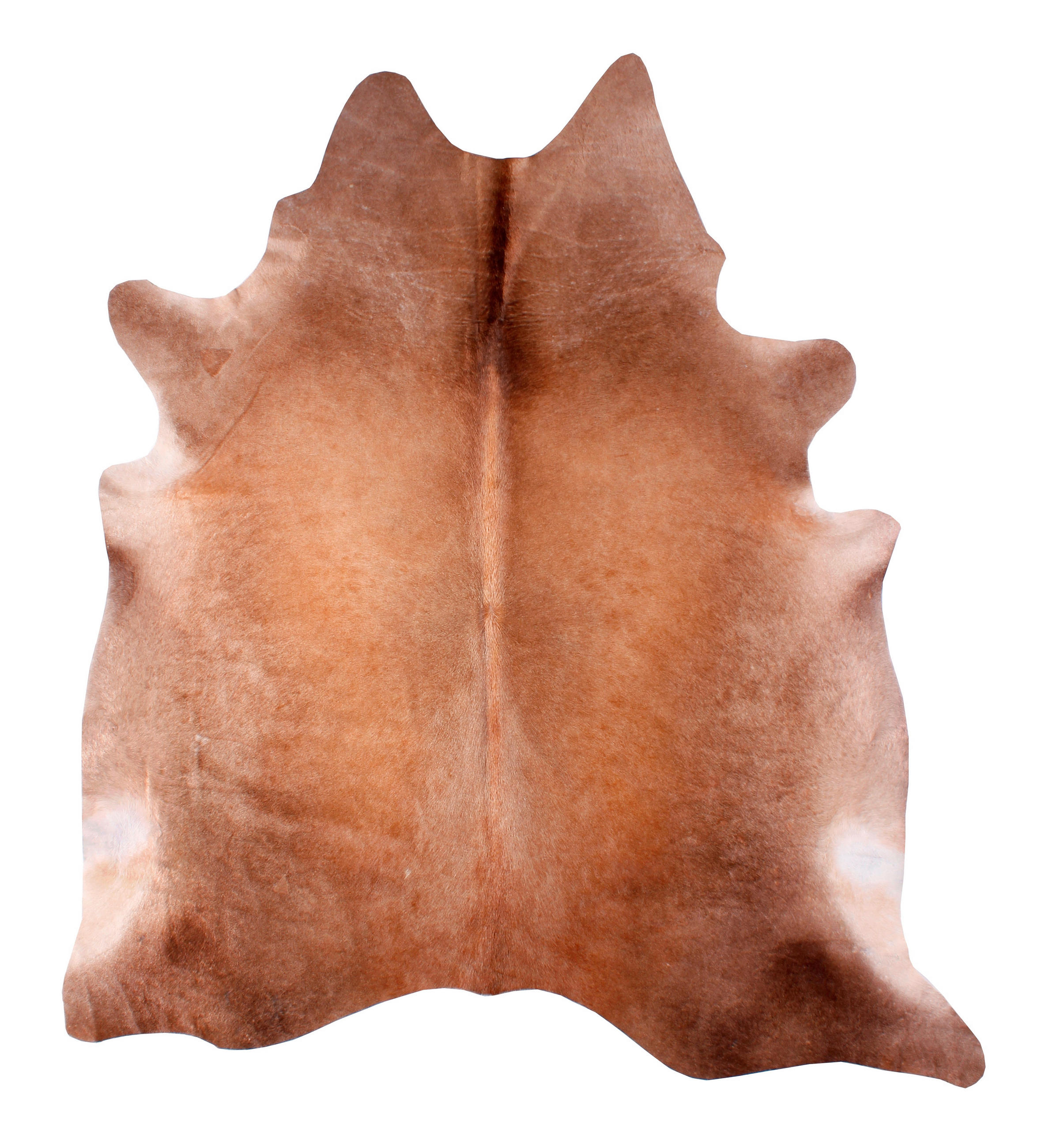 HOVÄDZIA KOŽUŠINA,  - Basics (150/180cm)