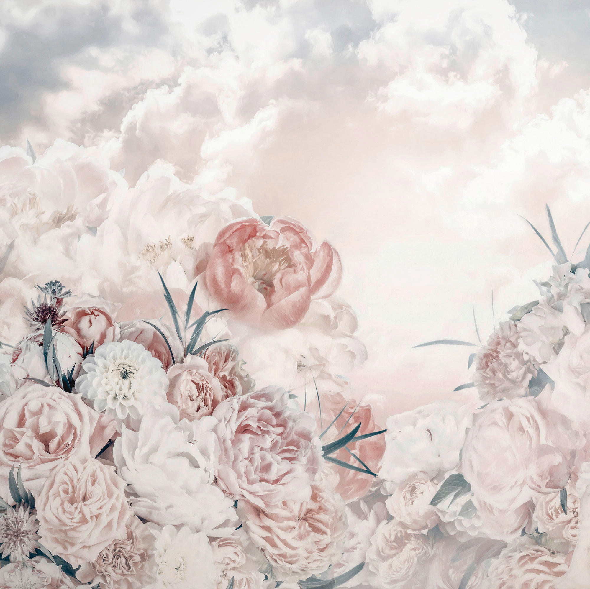 Xora Vliestapete Weiß, Rosa, Blau 250x250 cm