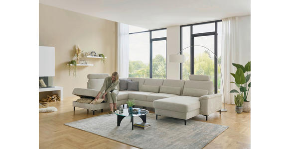 WOHNLANDSCHAFT Dieter Knoll Greige Chenille  - Greige/Schwarz, Design, Textil/Metall (235/349/175cm) - Dieter Knoll