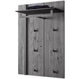 GARDEROBENPANEEL  in 73/106/35 cm  - Anthrazit, Design, Holz/Metall (73/106/35cm) - Johann Jakob