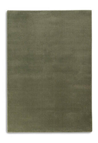 WEBTEPPICH 200/290 cm Barletta Olivgrün  - Olivgrün, KONVENTIONELL, Textil (200/290cm) - Novel