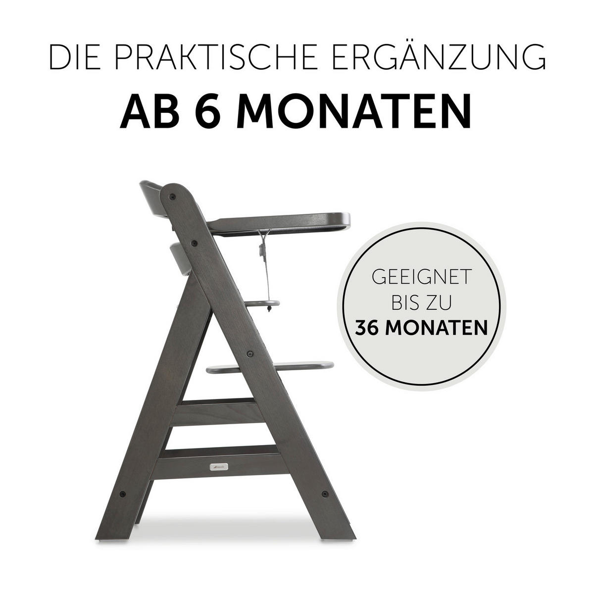 ESS- UND SPIELBRETT ALPHA WOODEN TRAY  - Dunkelbraun, Basics, Holz (38,5/46/3cm) - Hauck