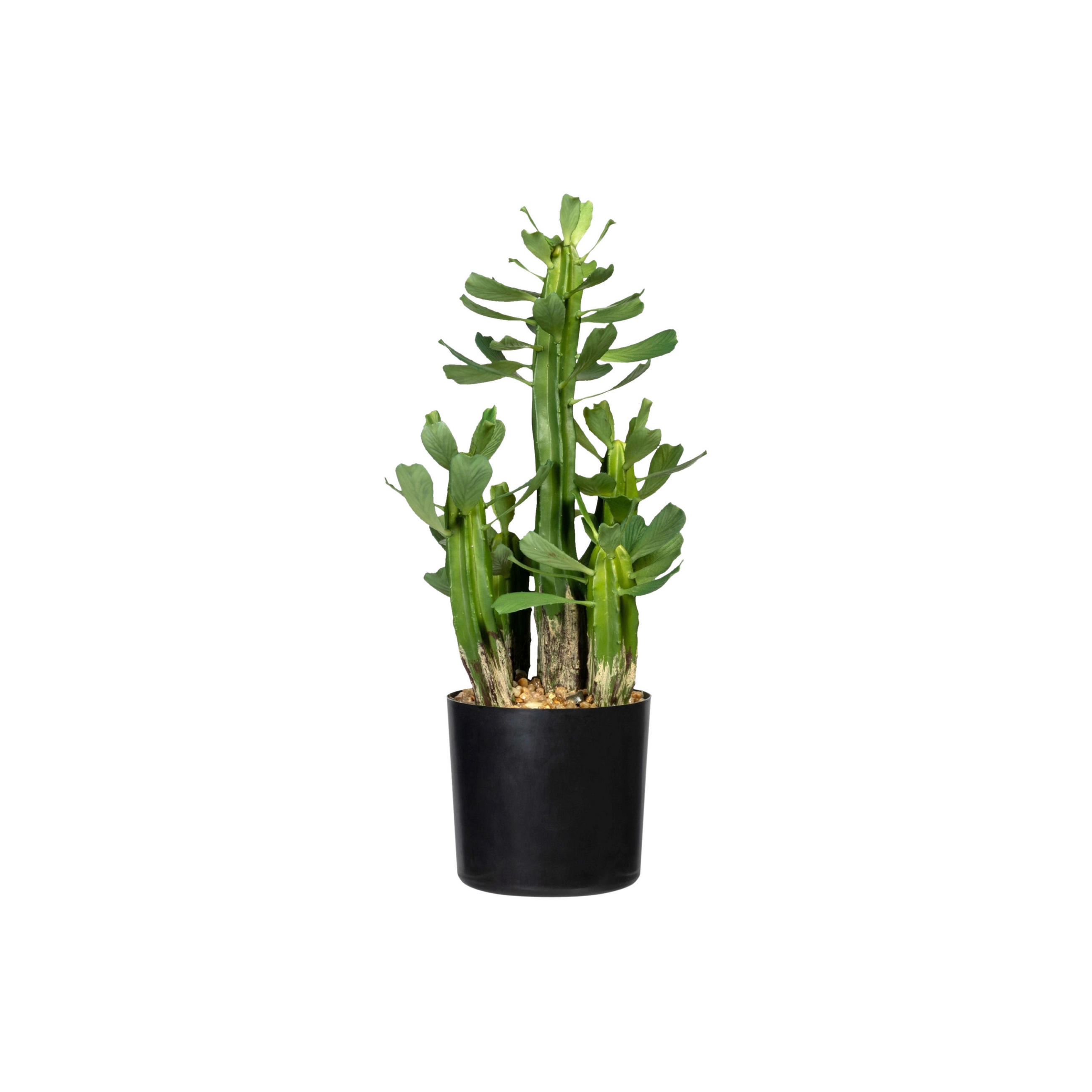 KUNSTPFLANZE Kaktus 40 cm  - Schwarz/Grün, Design, Kunststoff (40cm) - P & B