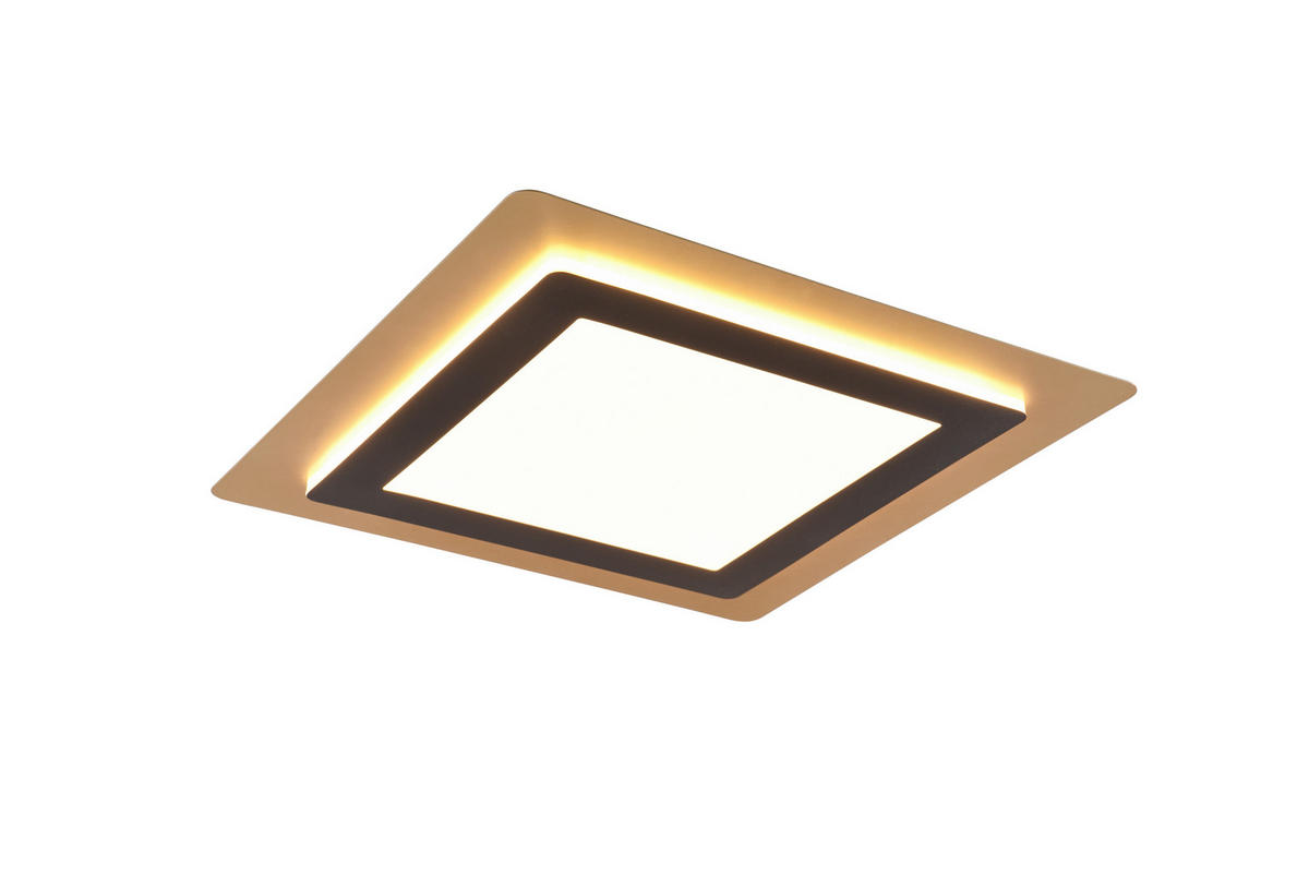 LED-DECKENLEUCHTE Morgan 45/45/4,2 cm   - Goldfarben/Schwarz, MODERN, Metall (45/45/4,2cm) - Trio Leuchten