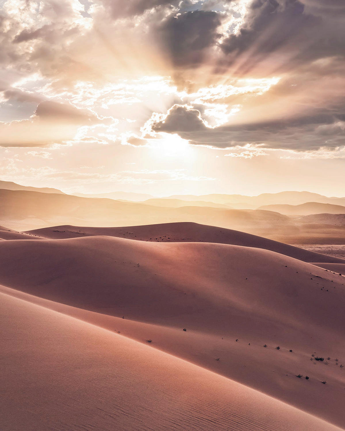 VLIESTAPETE - Beige/Braun, Natur (200/250cm) - Komar