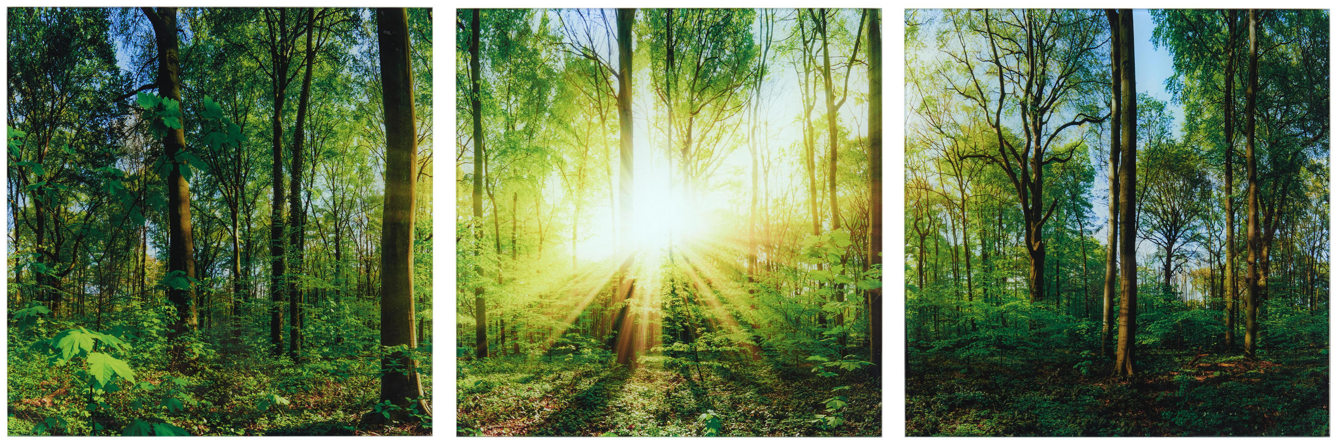 Glasbild Landschaft Natur Jetzt Nur Online Xxxlutz