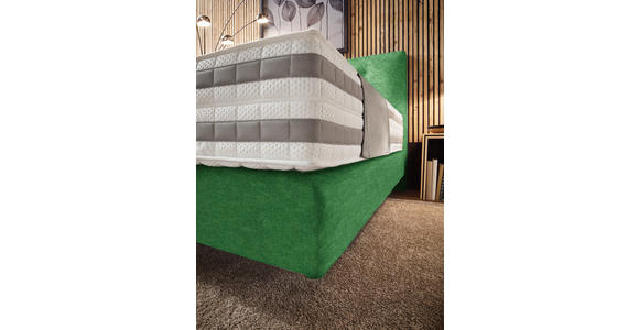 BOXSPRINGBETT 160/200 cm in Grün - Grün, KONVENTIONELL, Holz/Textil (160/200cm) - Dieter Knoll