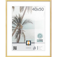 RÁM NA OBRAZY, 1 foto 40 cm x 50 cm - zlatá, Basics, plast/sklo (41,2/51,1cm)