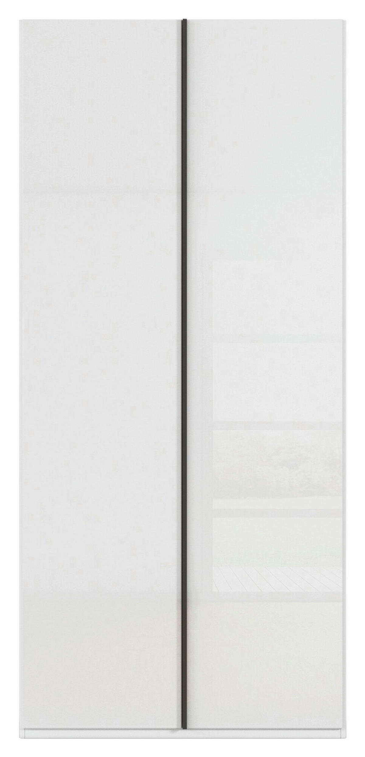 DREHTÜRENSCHRANK 101/235/61 cm,  in Weiß, 2-türig  - Edelstahlfarben/Weiß, Basics, Glas/Holzwerkstoff (101/235/61cm) - Novel
