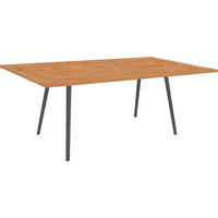 GARTENTISCH Metall Schwarz rechteckig  - Schwarz, MODERN, Holz/Metall (180/100/76cm) - Stern