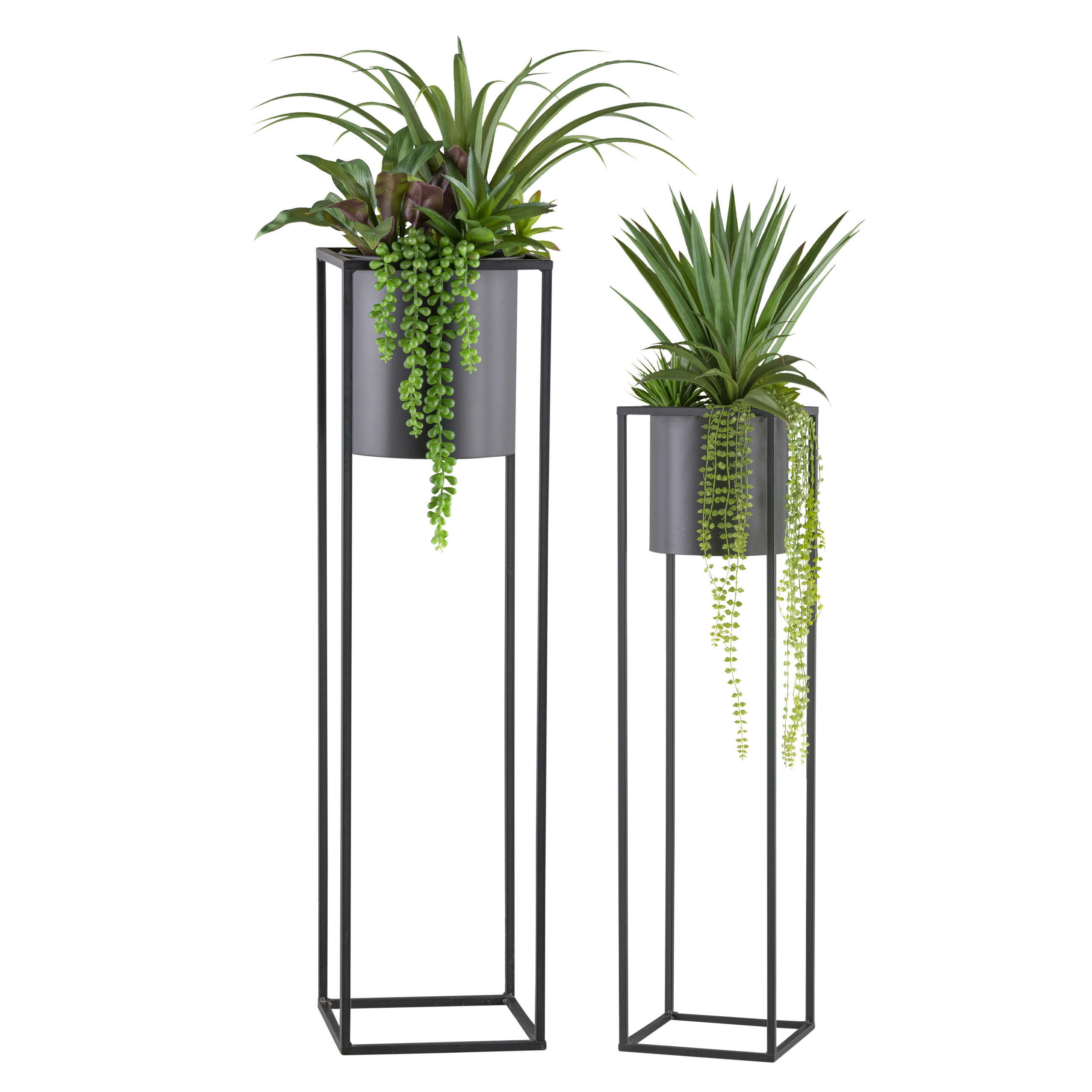 KUNSTPFLANZE Sukkulente 105/135 cm  - Schwarz/Grau, Design, Kunststoff/Metall (105/135cm) - P & B