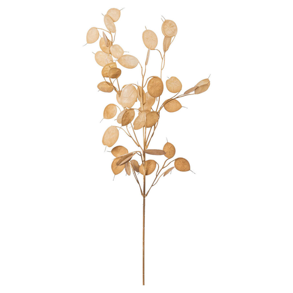 Kunstpflanze Pfennigblattzweig Braun L: 76 Cm, Gala