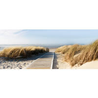 OBRAZ NA SKLE, pláž a moře, 50/125/1,40 cm - vícebarevná, Konvenční, sklo (50/125/1,40cm)