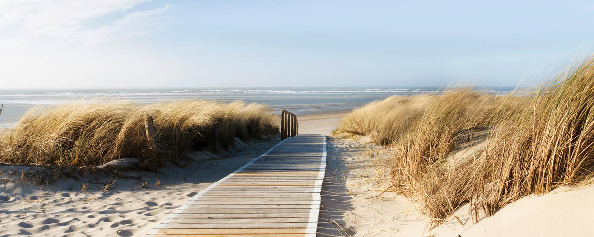 OBRAZ NA SKLE, pláž a moře, 50/125/1,40 cm - vícebarevná, Konvenční, sklo (50/125/1,40cm)