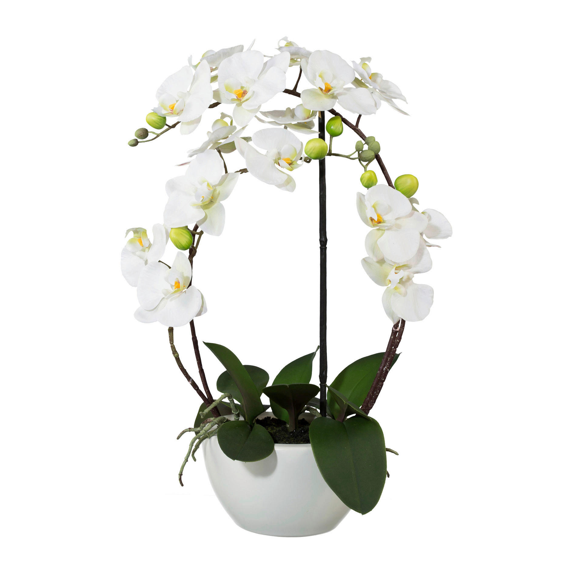 KUNSTBLUME - Weiß/Grün, Basics, Keramik/Kunststoff (52cm)