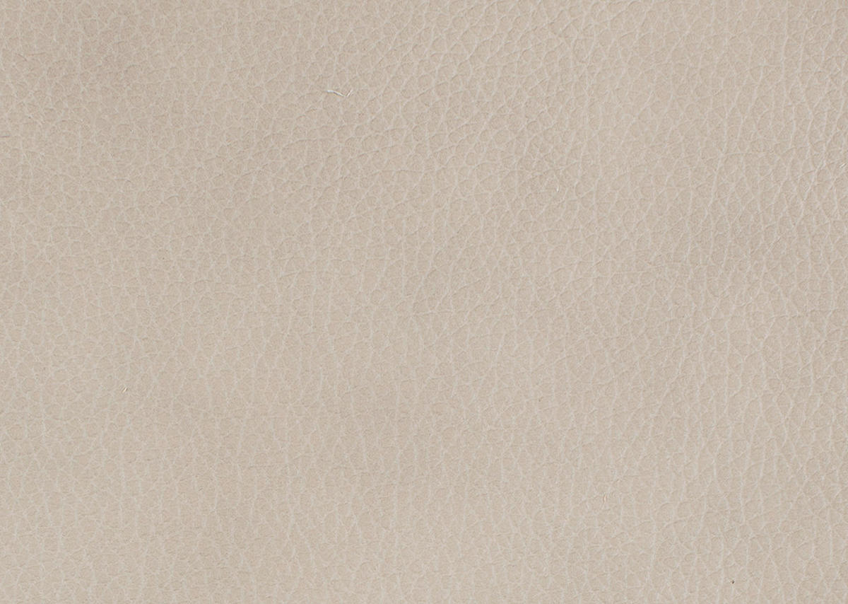 RELAXSESSEL Echtleder Nackenstütze, Relaxfunktion, Kopfteilverstellung, Fußteilverstellung    - Edelstahlfarben/Greige, Design, Leder/Metall (75/117/88cm) - Dieter Knoll