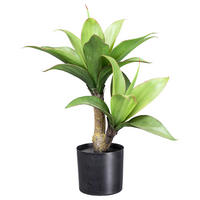 KUNSTPFLANZE Agave 45 cm  - Schwarz/Braun, Design, Kunststoff (45cm)