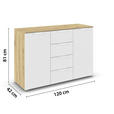 KOMMODE  in 120/81/42 cm  - Weiß/Eiche Artisan, Design, Holzwerkstoff/Metall (120/81/42cm) - Carryhome