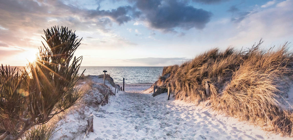 LEINWANDBILD Strand & Meer 115/55 cm  - Multicolor, Natur, Holz/Papier (115/55cm)