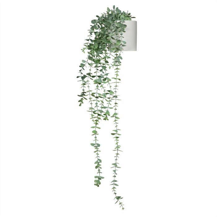 UMĚLÁ ROSTLINA šplhavnice zlatá  - bílá/zelená, Moderní, plast (67/155/60cm) - MID.YOU