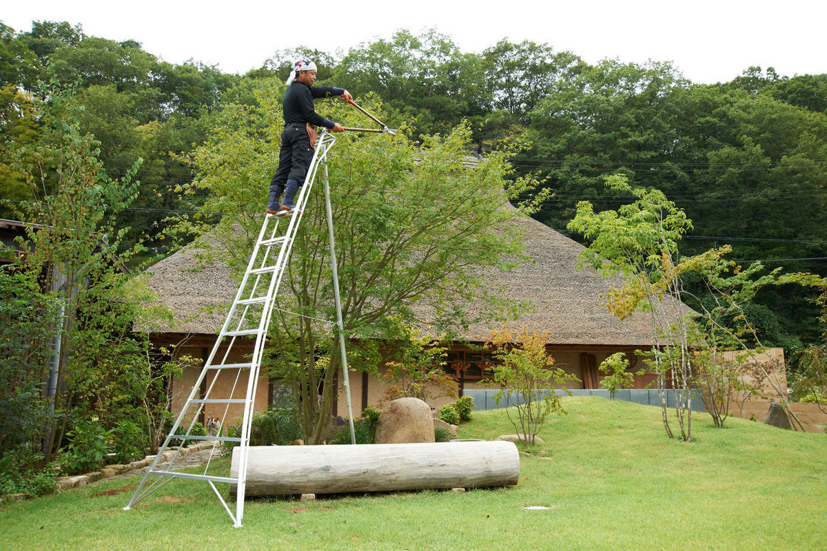 LEITER - Silberfarben, Basics, Metall (272/360/147cm) - Ambia Garden