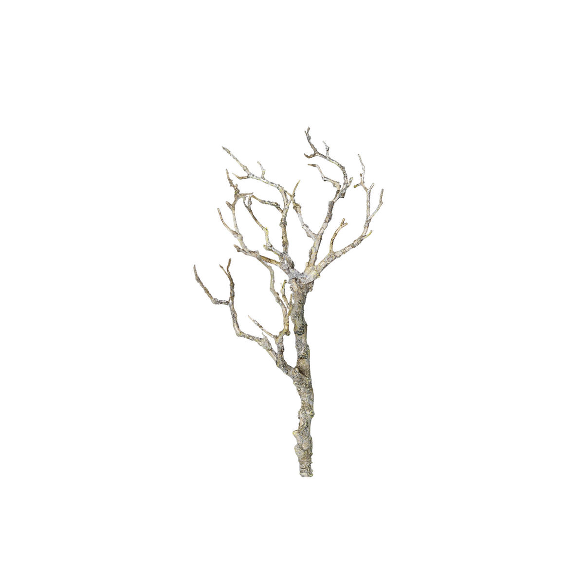 KUNSTPFLANZE 40 cm  - Braun, Basics, Kunststoff (40cm)