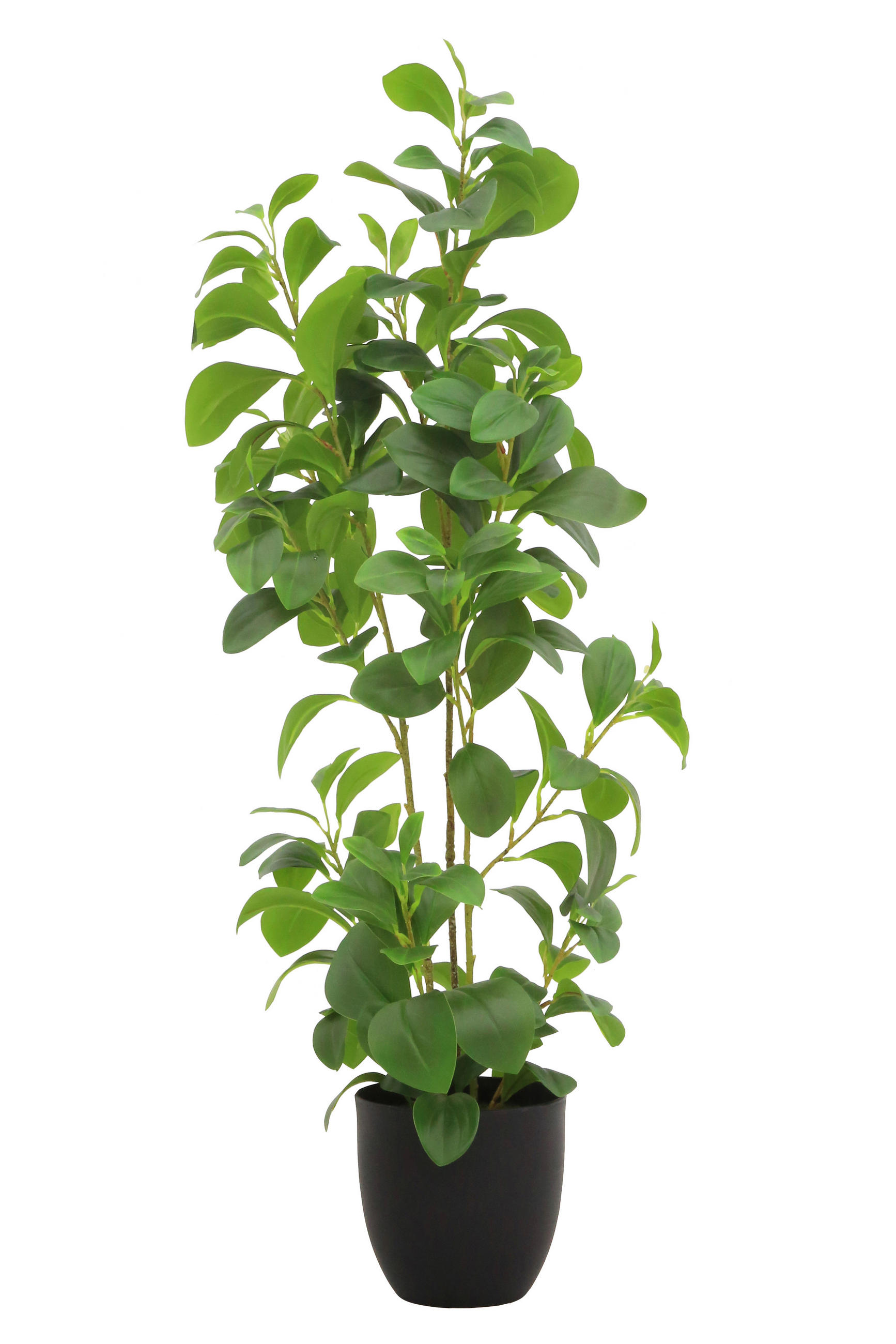 KUNSTPFLANZE 91 cm  - Smaragdgrün/Schwarz, Basics, Kunststoff/Metall (91cm)