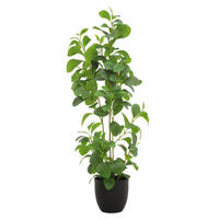 KUNSTPFLANZE 91 cm  - Smaragdgrün/Schwarz, Basics, Kunststoff/Metall (91cm)