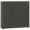 SCHUHSCHRANK Anthrazit  - Anthrazit/Schwarz, Design, Holzwerkstoff/Kunststoff (120/115/34cm) - Xora