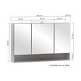 SPIEGELSCHRANK 100/64/20 cm  - Graphitfarben, Natur, Holzwerkstoff (100/64/20cm) - Xora
