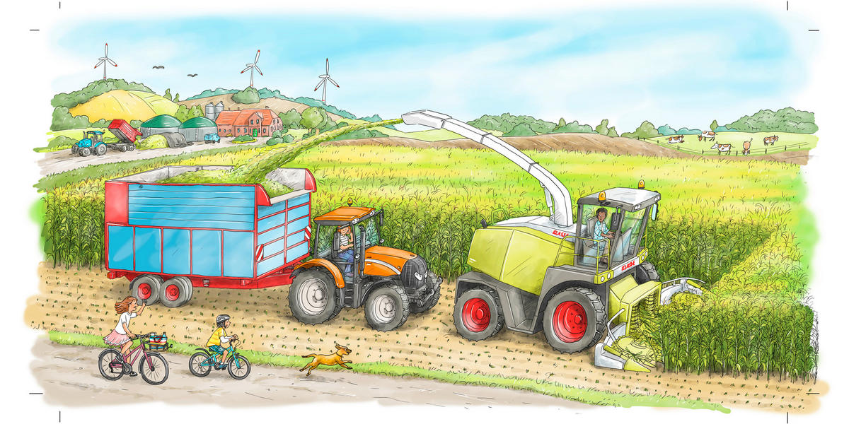 BUCH - Basics (18/18/1,8cm) - Carlsen