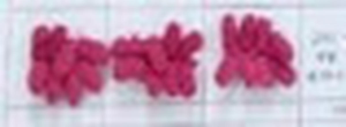 Covoraș De Baie  50/50 cm  roz aprins   - roz aprins, Basics, plastic/textil (50/50cm) - Esposa