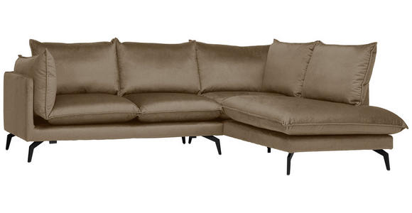 ECKSOFA in Samt Hellbraun  - Hellbraun/Schwarz, Design, Textil/Metall (241/200cm) - Carryhome