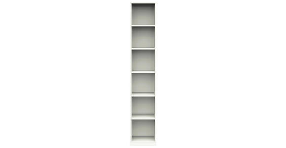 AKTENREGAL Weiß - Weiß, Design, Holzwerkstoff (40/220,5/40cm) - Moderano